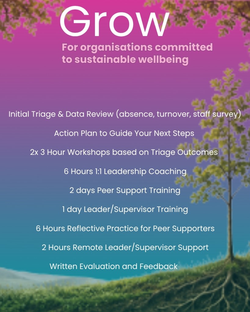 A sustainable mental health programme for business with peer support and leadership training