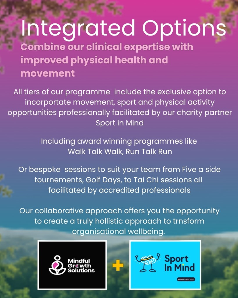 Holistic business wellbeing strategy, physical and mental health. Sport in Mind. Mindful Growth Solutions