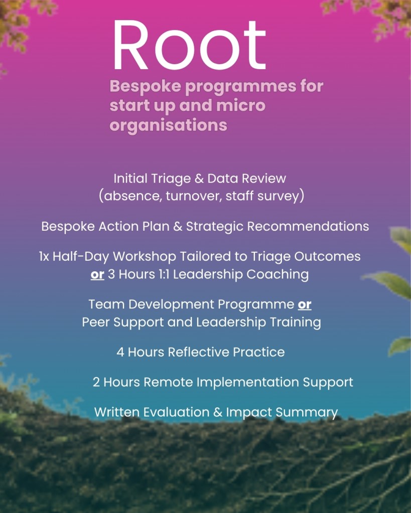 A 12 month mental health strategy for start up and micro businesses