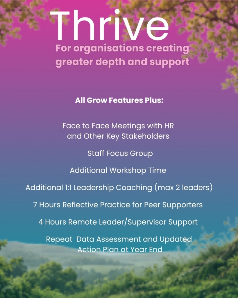 An in depth mental health programme for business including peer support and leadership training. Additional coaching and workshops